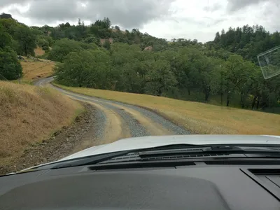 20190520_104644 (Large).jpg